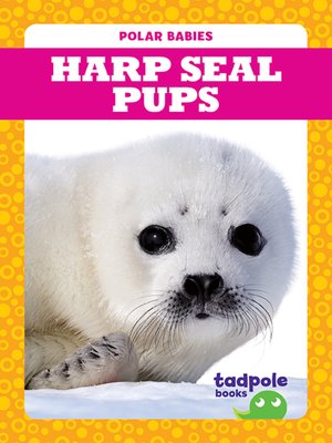 cover image of Harp Seal Pups